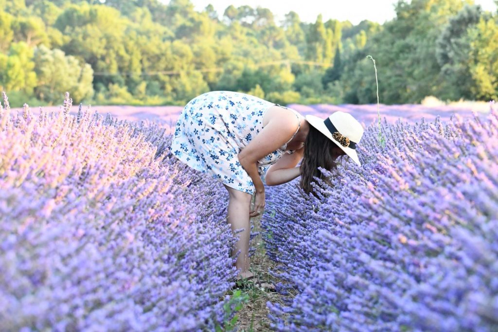 Lavender Oil Does Everything by Baraa Jalahej, Unsplash