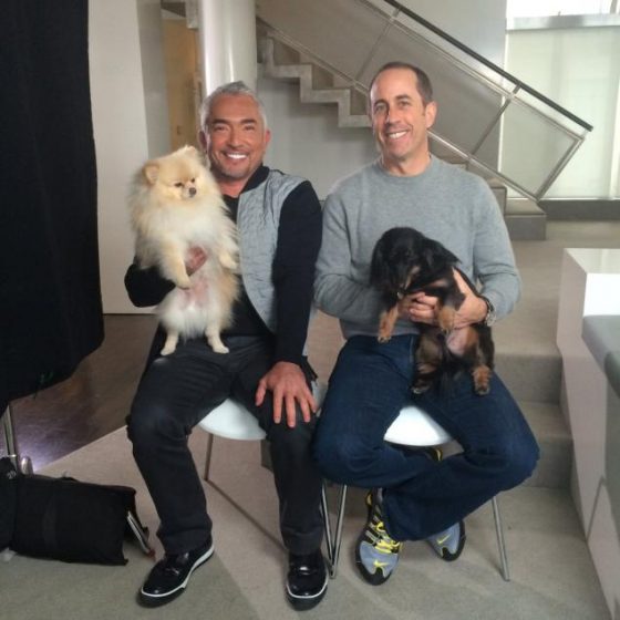 Jerry Seinfeld and Cesar Milan as seen on ABC News