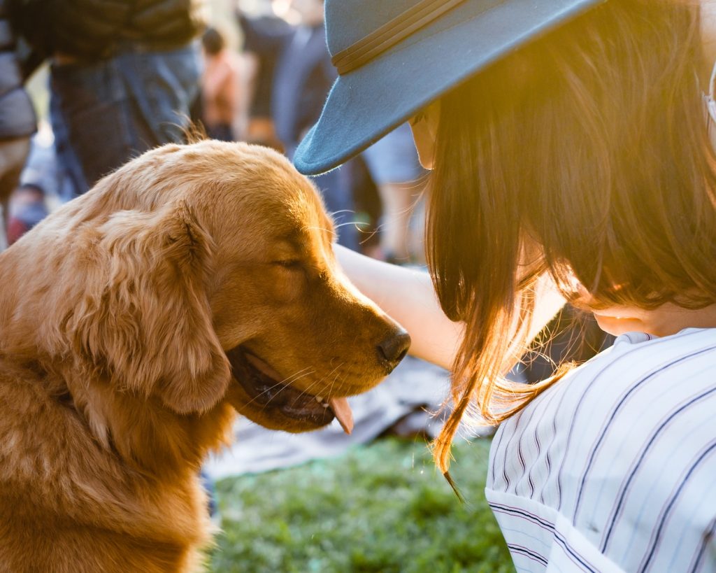 Woman with adult golden retriever