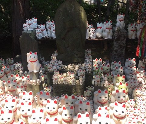 Gotokuji Temple, birthplace of Maneki-neko also known as the Lucky Waving Cat photo by Faith Bleasdale