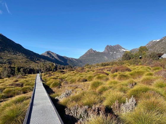 Beautiful scenery at Cradle Mountain, photo by Felicity Loughrey
