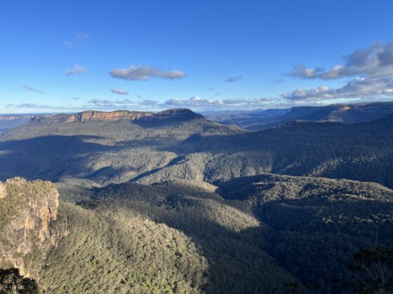 View from Echo Point in the Blue Mountains. Photo credit Alicia Fulton