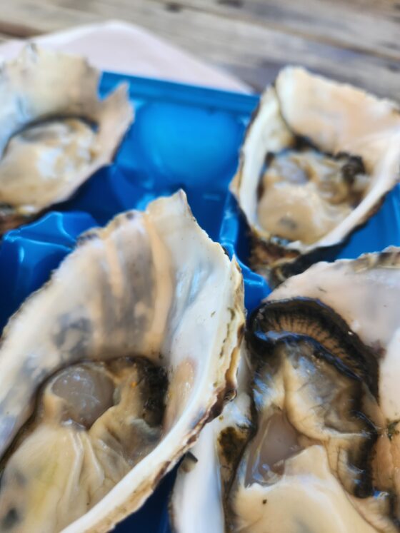 Fresh Oysters