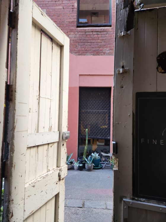 Laneway Doorway