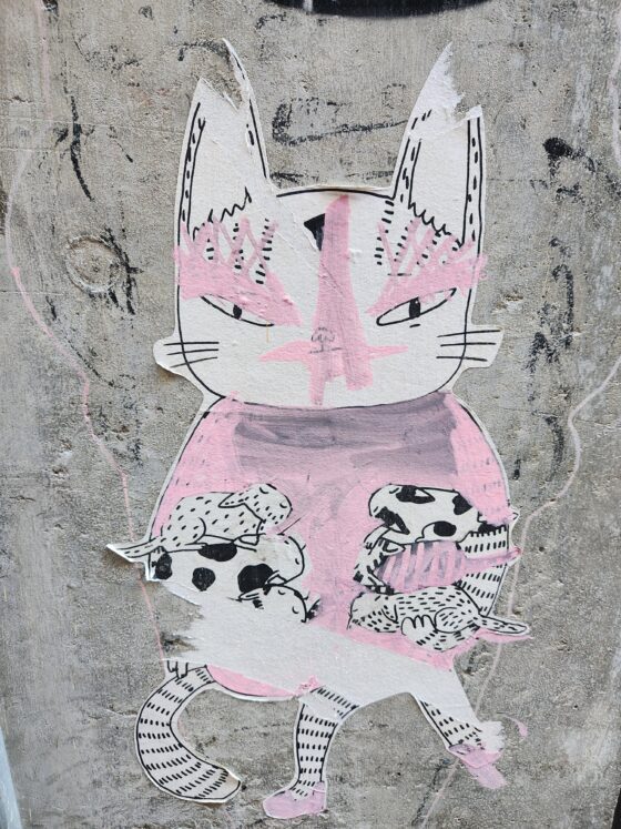 Pink Cat