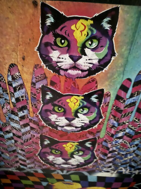 Psychedelic Felines