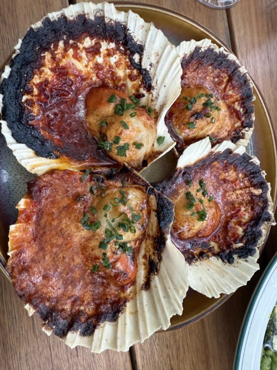 Grilled scallops, fermented chilli butter and chives $24