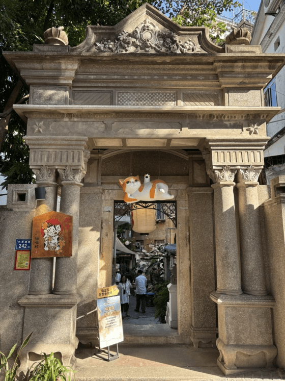 Gulangyu A cat café and shelter.