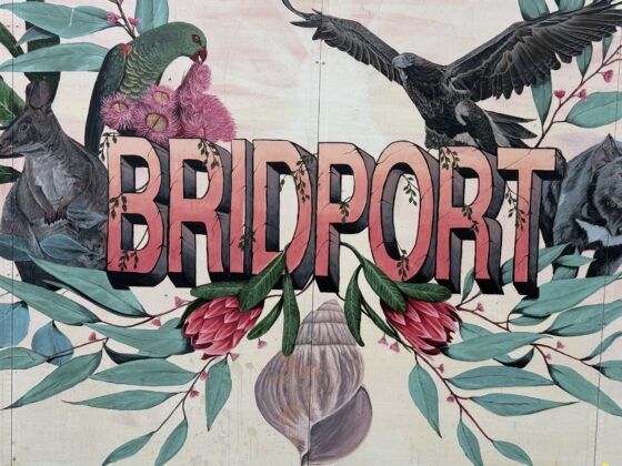 Rosellas and Wallabies