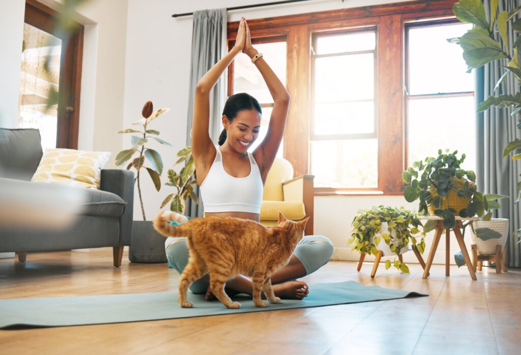 Yoga with Cats