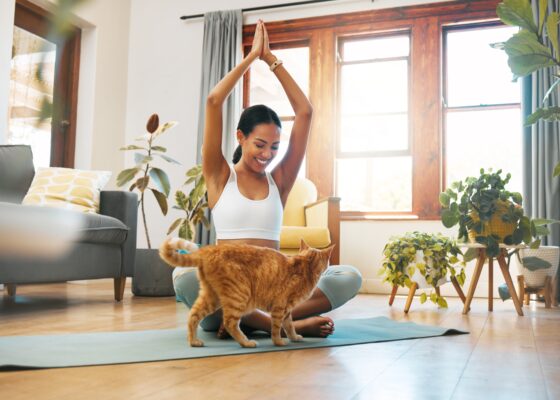 Yoga with Cats