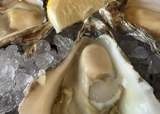 Oysters