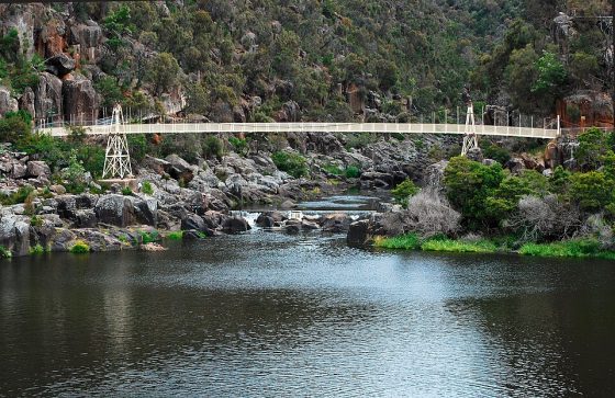 The Suspension Bridge (CC)