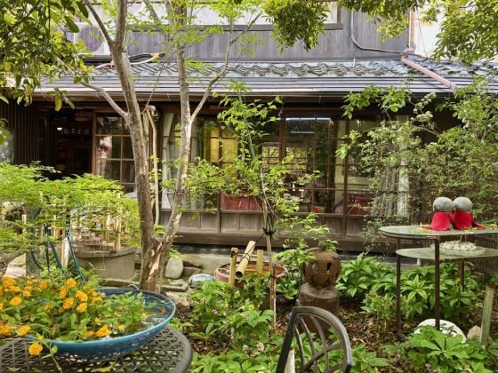 The rear garden
